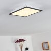 Plafonnier Salmi LED Noir, Blanc, 1 lumière