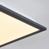 Plafonnier Salmi LED Noir, Blanc, 1 lumière