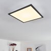 Plafonnier Salmi LED Noir, Blanc, 1 lumière