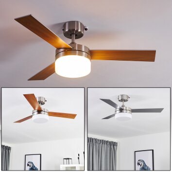 Ventilateur de plafond Vevey Bois clair, Nickel mat, Argenté, 2 lumières, Télécommandes