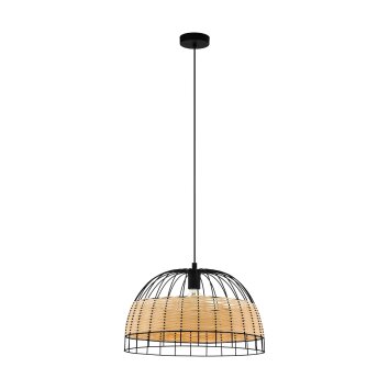 Suspension Eglo ANWICK Noir, 1 lumière