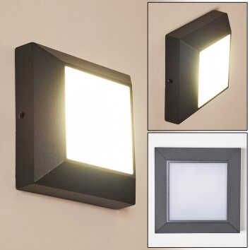 Applique murale d'extérieur Alkmaar LED Anthracite, 1 lumière