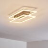 Plafonnier Veyrier LED Acier brossé, 2 lumières