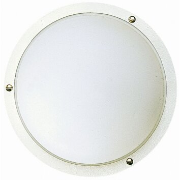 Applique extérieure Albert 6028 Blanc, 1 lumière