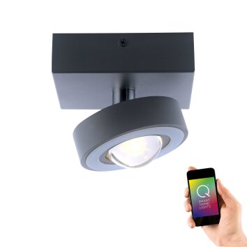 Plafonnier Paul Neuhaus Q-MIA LED Anthracite, 1 lumière, Télécommandes