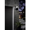 Applique murale EGLO CASABAS LED Noir, 2 lumières, Détecteur de mouvement