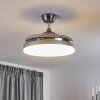 Ventilateur de plafond Bendigo LED Chrome, 1 lumière