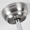 Ventilateur de plafond Bendigo LED Chrome, 1 lumière