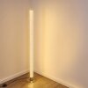 Lampadaire Pipe LED Nickel mat, 1 lumière, Télécommandes, Changeur de couleurs