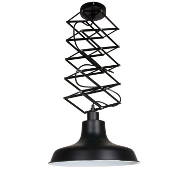 Suspension Steinhauer Mexlite Noir, 1 lumière