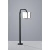 Borne lumineuse Trio CUBANGO Anthracite, 1 lumière