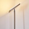 Lampadaire à vasque Veteli LED Acier inoxydable, 2 lumières