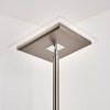 Lampadaire à vasque Veteli LED Acier inoxydable, 2 lumières