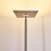 Lampadaire à vasque Veteli LED Acier inoxydable, 2 lumières