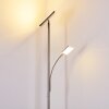 Lampadaire à vasque Veteli LED Acier inoxydable, 2 lumières