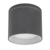 plafonnier extérieur Globo ALCALA Anthracite, 1 lumière