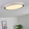 Plafonnier Vejle LED Blanc, 2 lumières, Changeur de couleurs