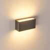 Applique murale d'extérieur Duluth LED Anthracite, 1 lumière