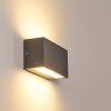 Applique murale d'extérieur Duluth LED Anthracite, 1 lumière