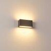 Applique murale d'extérieur Duluth LED Anthracite, 1 lumière