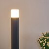 Borne lumineuse Buhrkall Anthracite, 1 lumière