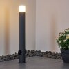 Borne lumineuse Buhrkall Anthracite, 1 lumière