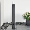 Borne lumineuse Buhrkall Anthracite, 1 lumière