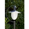 Lampadaire extérieur Lucide ARUBA Noir, Blanc, 1 lumière