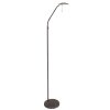 Lampadaire Steinhauer Zenith LED Acier inoxydable, 1 lumière