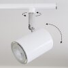 Plafonnier Chennai LED Chrome, Blanc, 2 lumières