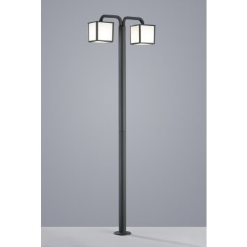 Borne lumineuse Trio CUBANGO Anthracite, 2 lumières