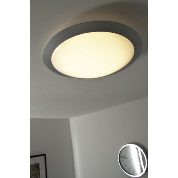 Plafonnier Trio 6265 LED Titane, Blanc, 1 lumière