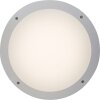 MEDWAY Brilliant Lampe murale d'extérieur LED Blanc, 1 lumière