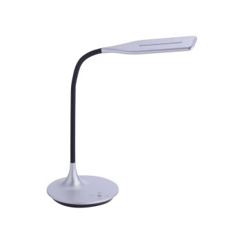 Lampe à poser Leuchten-Direkt RAFAEL LED Argenté, 1 lumière, Détecteur de mouvement