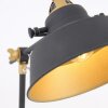 Lampe à poser Steinhauer Mexlite Noir, 1 lumière