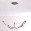 Suspension Woyens LED Acier inoxydable, 1 lumière