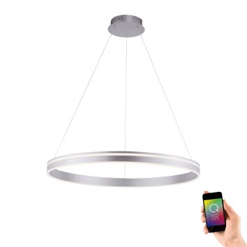 Suspension Paul Neuhaus Q-VITO LED Acier inoxydable, 1 lumière, Télécommandes