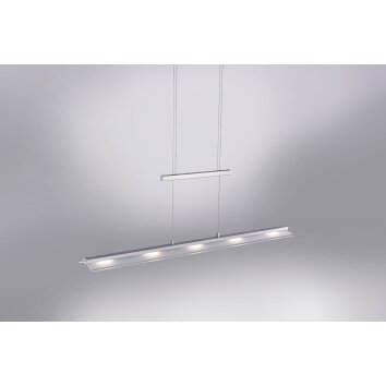 Suspension Paul Neuhaus NELE LED Acier inoxydable, 5 lumières