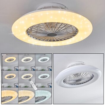 Ventilateur de plafond Piraeus LED Titane, Blanc, 1 lumière, Télécommandes