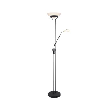 Lampadaire Reality Orson LED Noir, 2 lumières