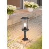 Borne lumineuse Trio Tanaro Anthracite, 1 lumière