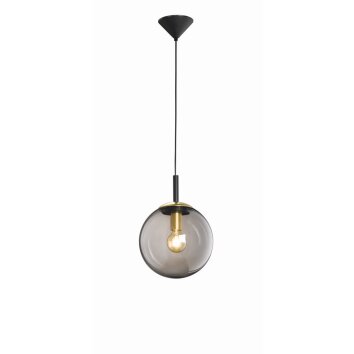 Suspension Fischer & Honsel living Dini Noir, 1 lumière