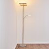 Lampadaire à vasque Thyolo LED Acier brossé, 2 lumières