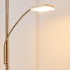 Lampadaire à vasque Thyolo LED Acier brossé, 2 lumières