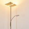 Lampadaire à vasque Thyolo LED Acier brossé, 2 lumières