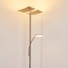 Lampadaire à vasque Thyolo LED Acier brossé, 2 lumières