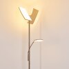 Lampadaire à vasque Thyolo LED Acier brossé, 2 lumières