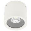 Spot de plafond Albert 2319 LED Blanc, 1 lumière