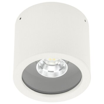 Spot de plafond Albert 2319 LED Blanc, 1 lumière