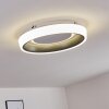 Plafonnier Mackay LED Anthracite, Blanc, 1 lumière